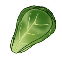 Lettuce