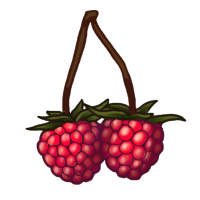 Raspberries