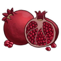 Pomegranate