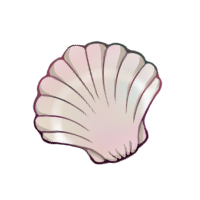 Seashell