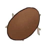 Potato