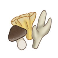 Mushrooms