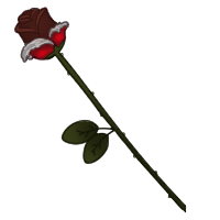 Chocolate Rose