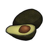 Avocado