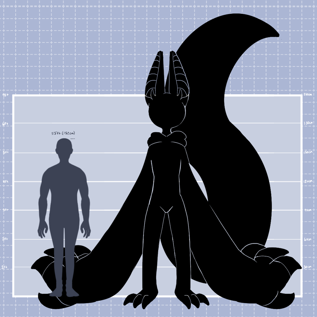 The Elder Bat's Height