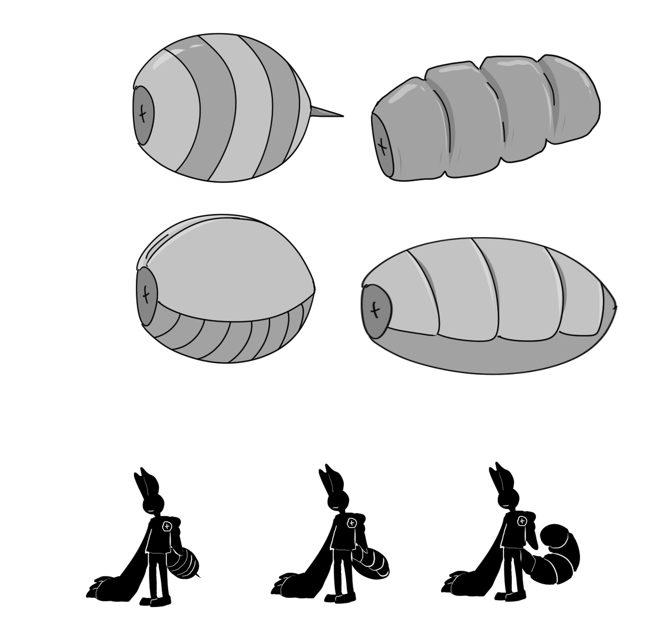 Exoskeletal Abdomen