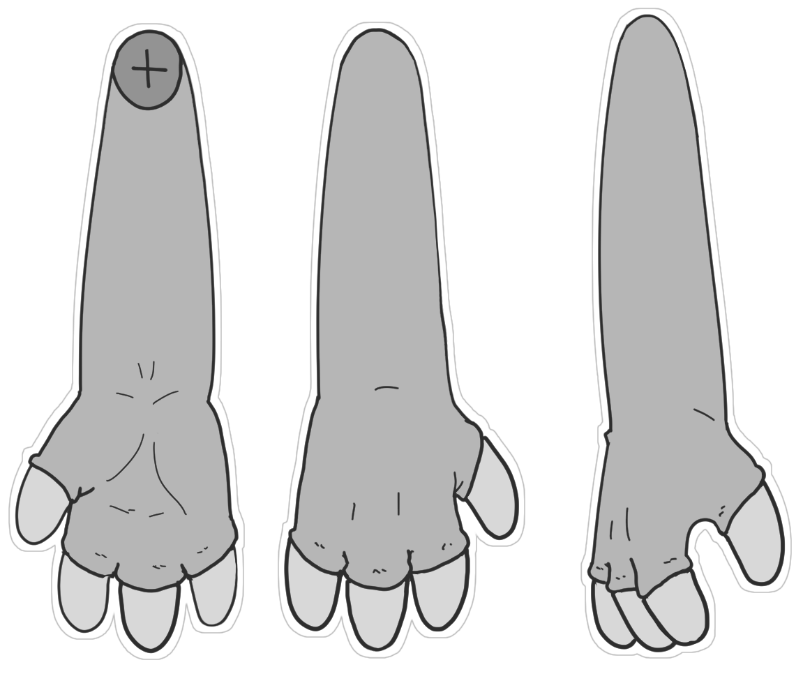 Rounded Claw Shape