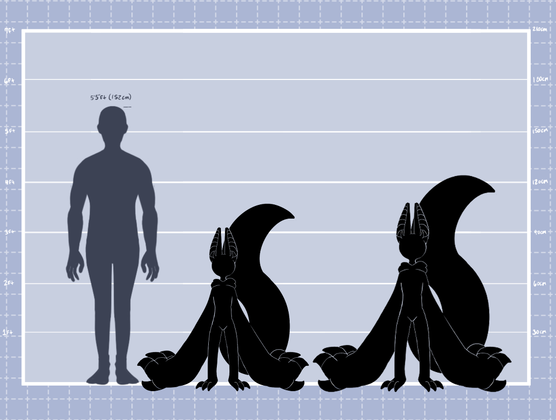 Average Height (M)